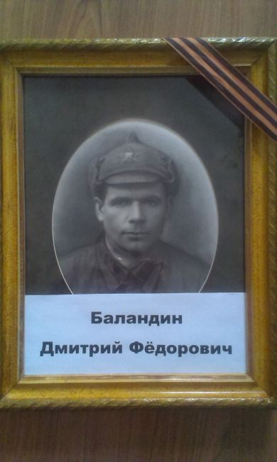 Баландин Дмитрий Фёдорович