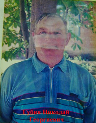 Губин Николай Георгиевич