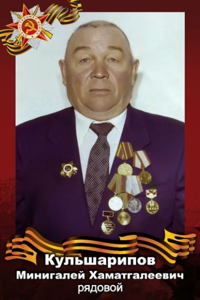 Кульшарипов Миннигали Хаматгалеевич 