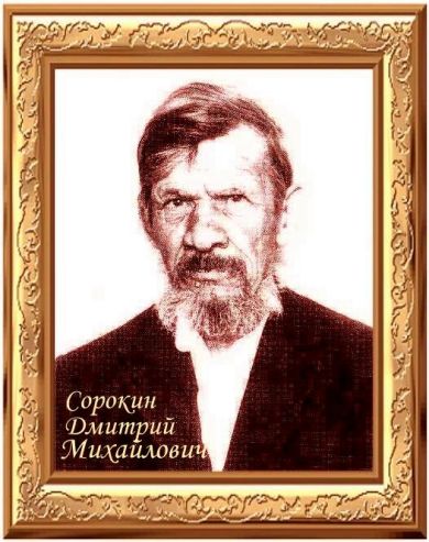 Сорокин Дмитрий Михайлович