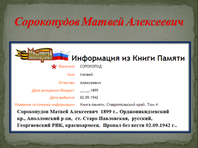 Сорокопудов Матвей Алексеевич