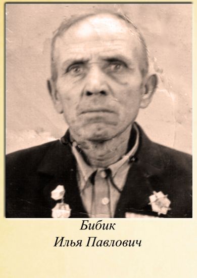 Бибик Илья Павлович