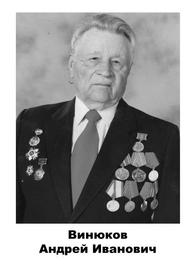 Винюков	Андрей Иванович