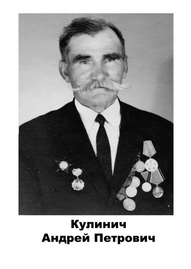 Кулинич Андрей Петрович