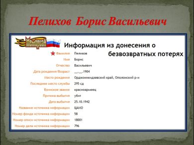 Пелихов Борис Васильевич