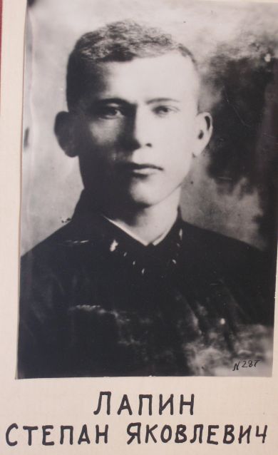 Лапин Степан Яковлевич