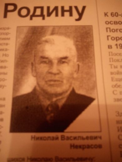 Некрасов Николай Васильевич