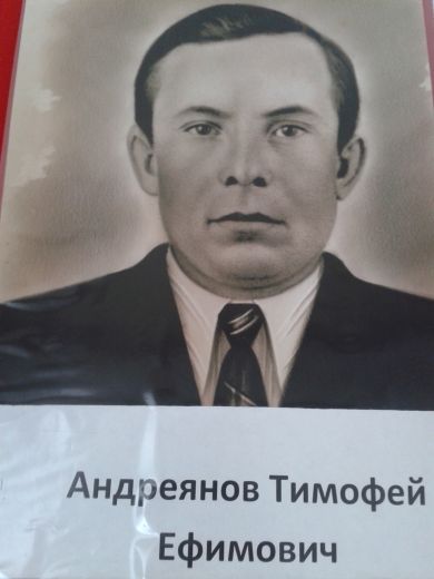 Андреянов Тимофей Ефимович