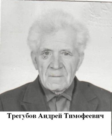Трегуб Андрей Тимофеевич