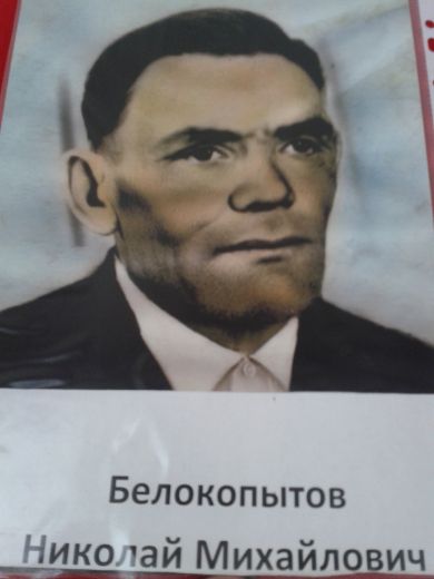 Белокопытов Николай Михайлович