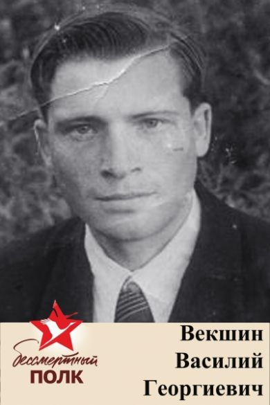 Векшин Василий Георгиевич, 1923-1970