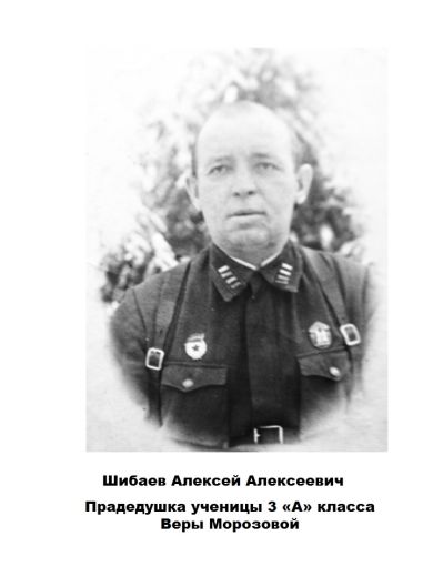 Шибаев Алексей Алексеевич