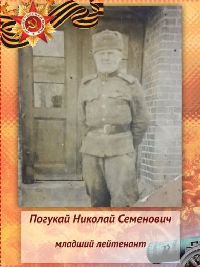 Погукай Николай Семенович