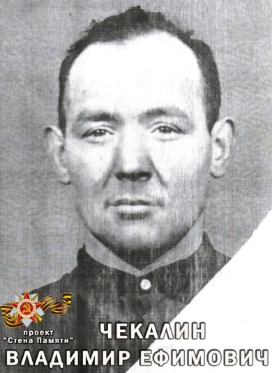 Чекалин Владимир Ефимович