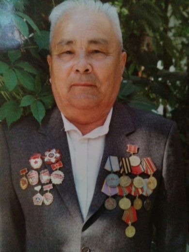 Вершинин Николай Карпович