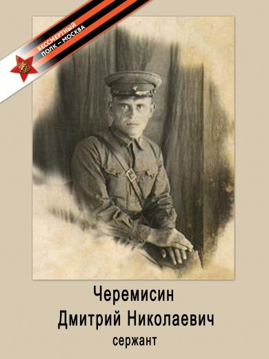 Черемисин Дмитрий Николаевич