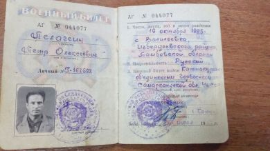 Пелагеин Петр Алексеевич
