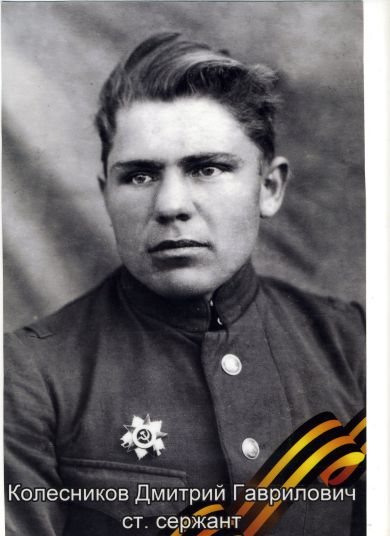 Колесников Дмитрий Гаврилович