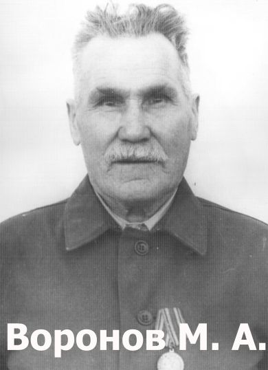 Воронов Максим Андреевич