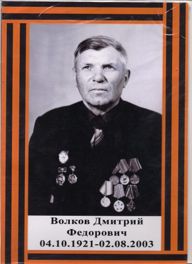 Волков Дмитрий Федоровичь