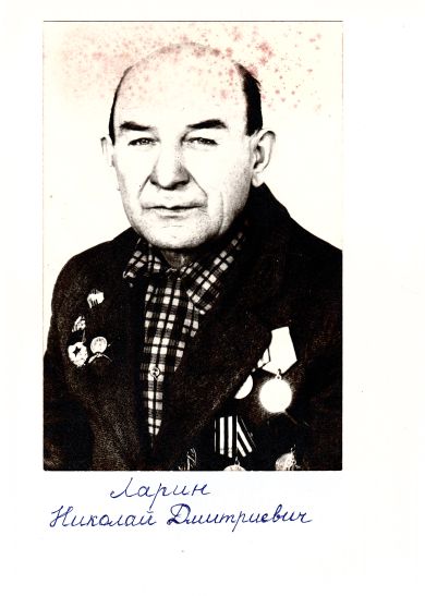 Ларин Николай Дмитриевич