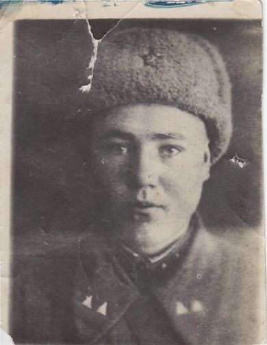 Шевляков Павел Григорьевич