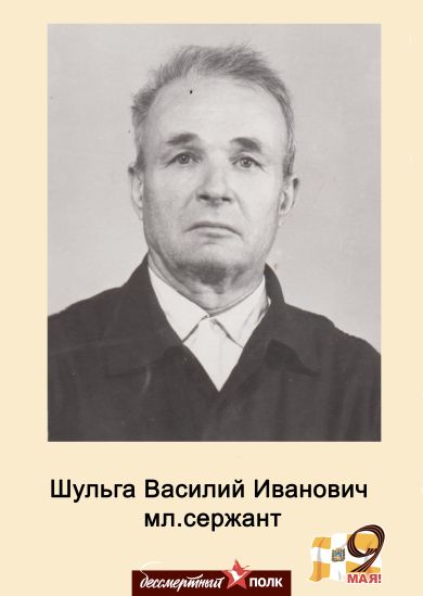 Шульга Василий Иванович