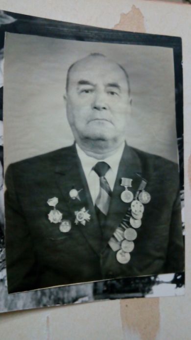 Ватутин Николай Илларионович