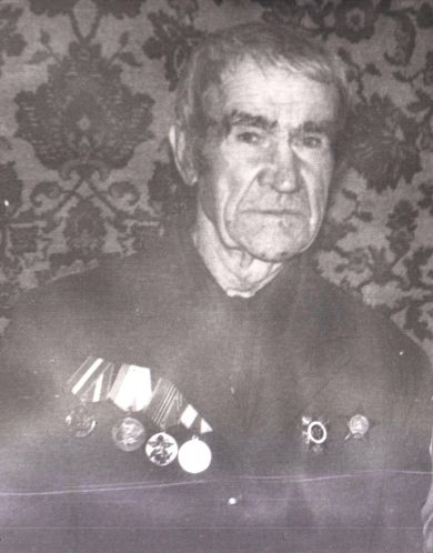 Долженко Александр Ильич