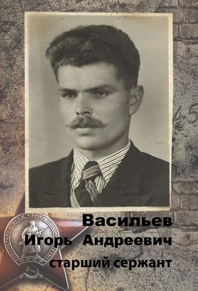Васильев Игорь Андреевич