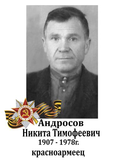 Андросов Никита Тимофеевич