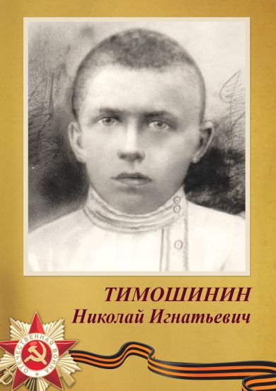Тимошинин Николай Игнатьевич