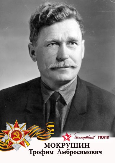 Мокрушин Трофим Абросимович