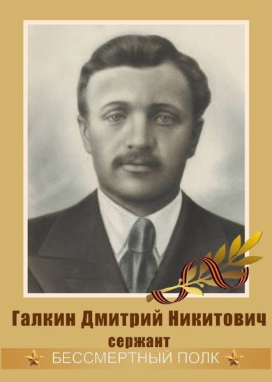 Галкин Дмитрий Никитович