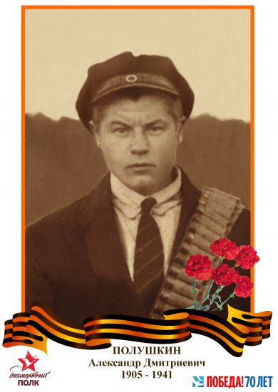 Полушкин Александр Дмитриевич