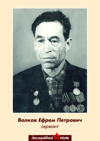 Волков Ефрем Петрович