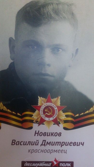 Новиков Василий Дмитриевич