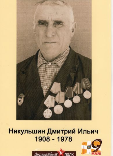 Никульшин Дмитрий Ильич