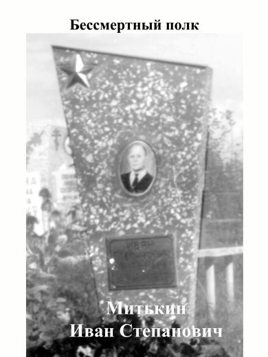 Митькин Иван Степанович