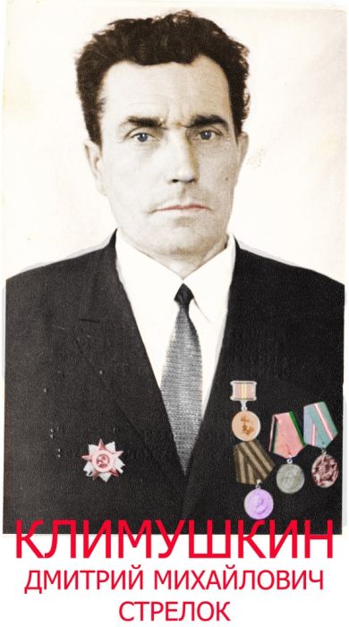 Климушкин Дмитрий Михайлович