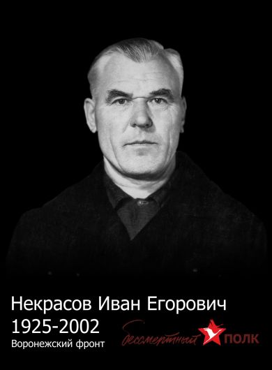 Некрасов Иван Егорович
