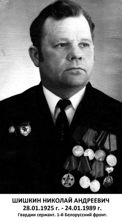 Шишкин Николай Андреевич