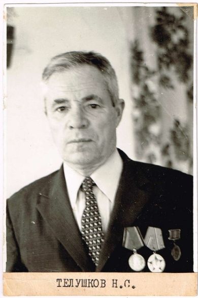 Телушков Николай Сергеевич