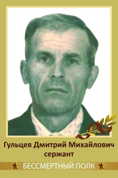 Гульцев Дмитрий Михайлович