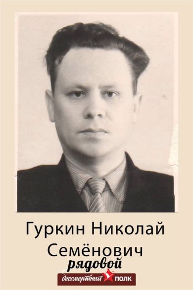 Гуркин Николай Семёнович