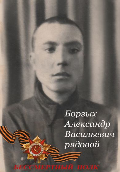 Борзых Александр Васильевич
