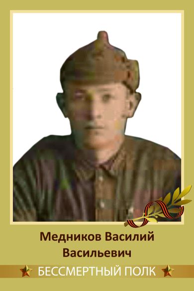 Медников Василий Васильевич