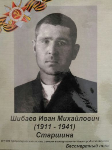 Шибаев Иван Михайлович