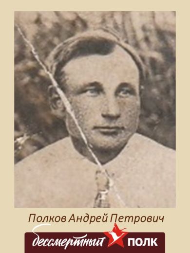 Полков Андрей Петрович