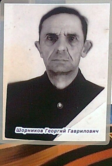 Шорников Георгий Гаврилович